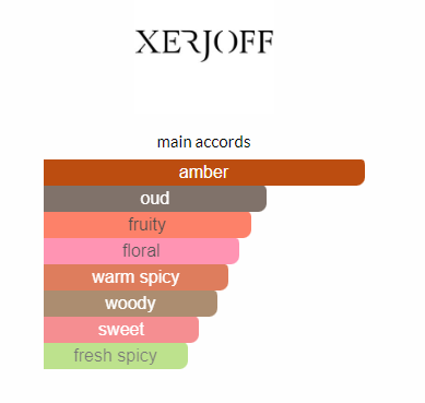 XERJOFF MORE THEN WORDS PARFUM