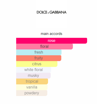 dolce and gabbana rose the one