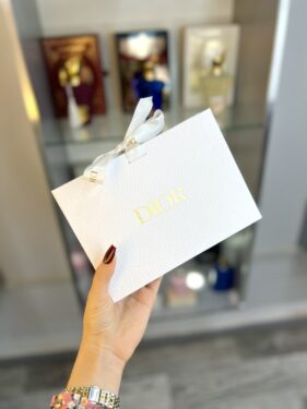 SAC SHOPPING DIOR