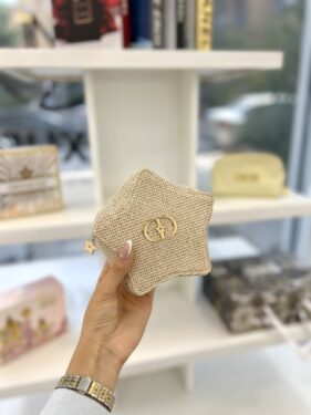 Pochette Dior etoile